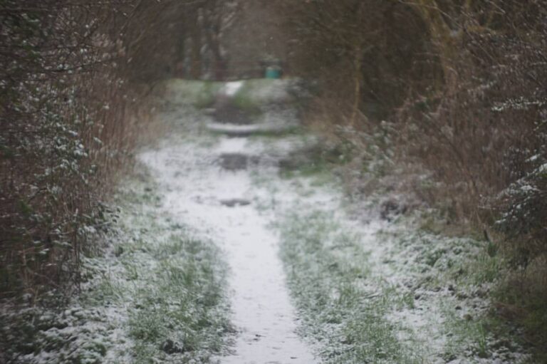 Follow your path and make it what you will #photography #mirrorless #sony #nex5 #snow #helios44 #hel…