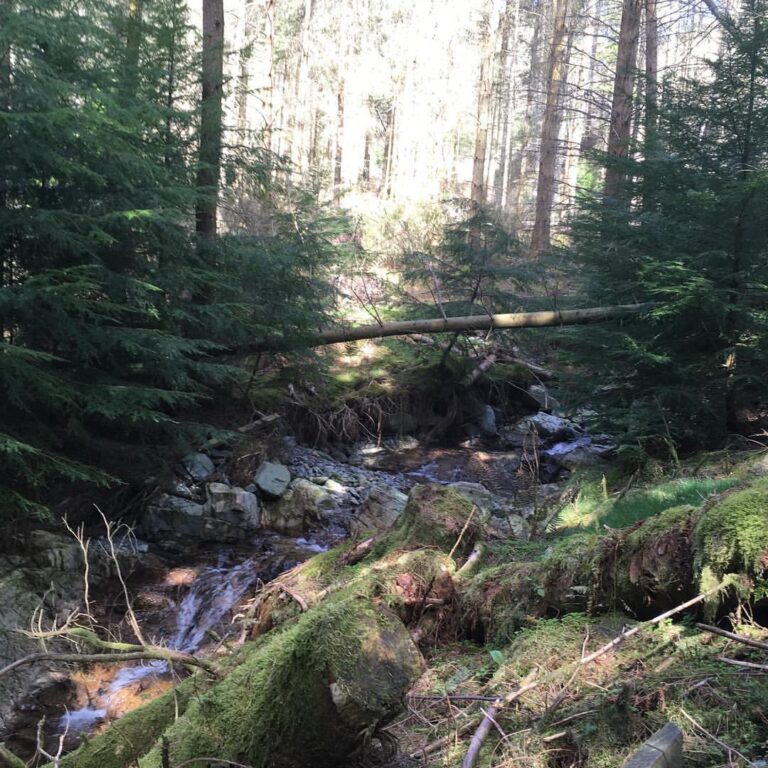 Photo by Islay de simulacrum on April 23, 2017.