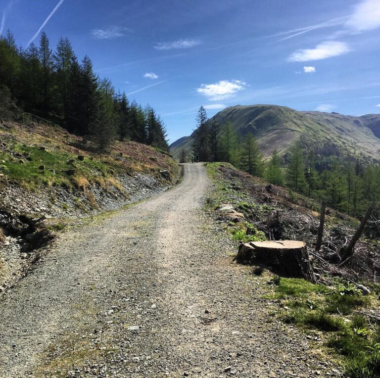 I forgot I took a whole bunch of photos while I was climbing up a mountain the other week #fireroad