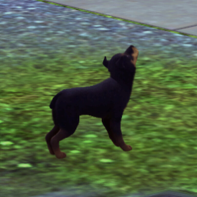 I made my dog in the sims what do yall think? @scrappy_doo_three #thesims #gaming