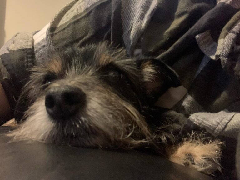 Chilling with my boy
